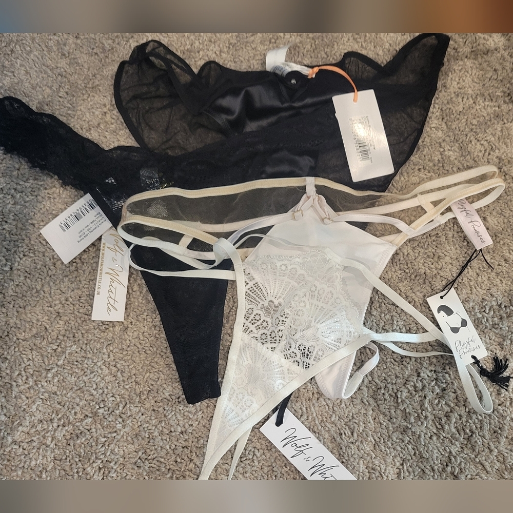 Panties Bundle Of 4 NWT Playful Promises And Wolf And Whistle Medium Range Size